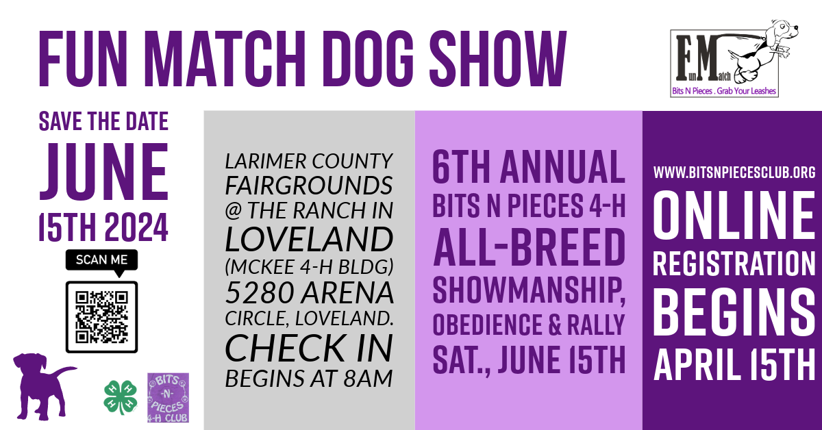 fun match dog show